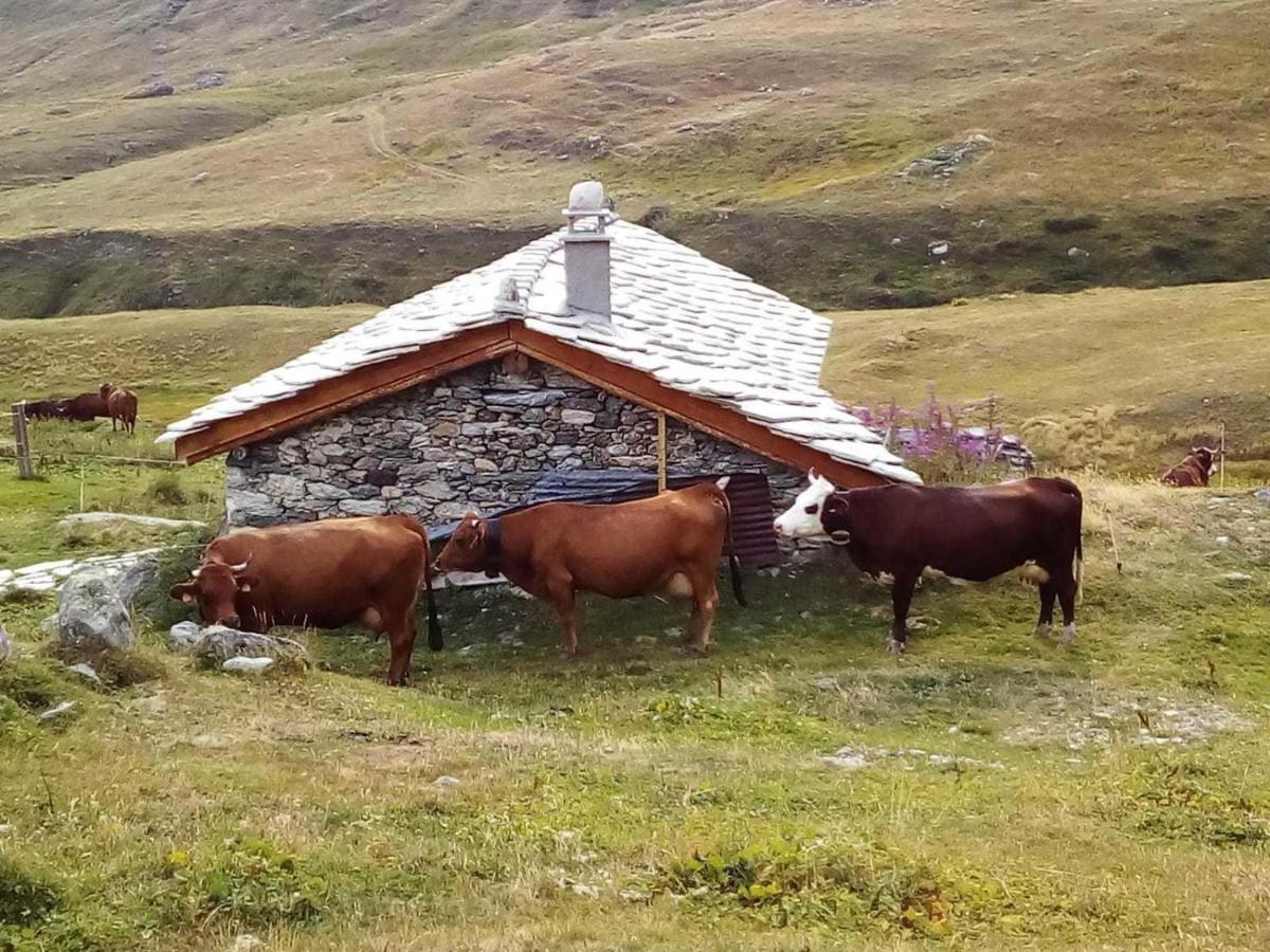 Les Balcons Proche Parc National Vanoise Appartements 2 Pieces 6 Pers Montagne Superieur Termignon Eksteriør bilde