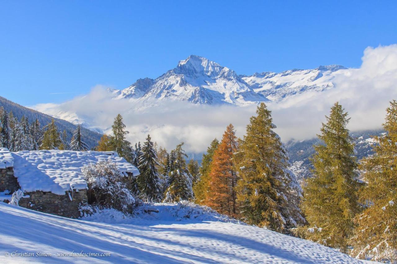 Les Balcons Proche Parc National Vanoise Appartements 2 Pieces 6 Pers Montagne Superieur Termignon Eksteriør bilde